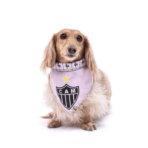 Bandana Pet Dupla Face - Rosa